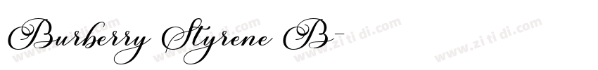 Burberry Styrene B字体转换